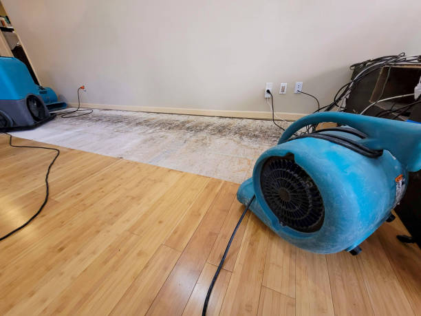 Professional Flood Damage Cleanup technician working in Harriman, NY